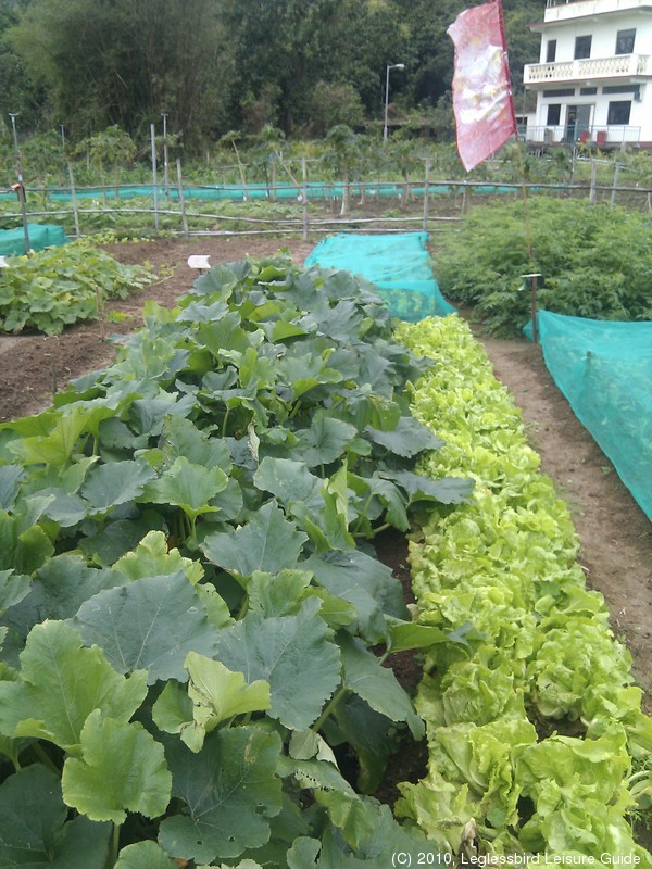 20100215Farm Visit22.jpg